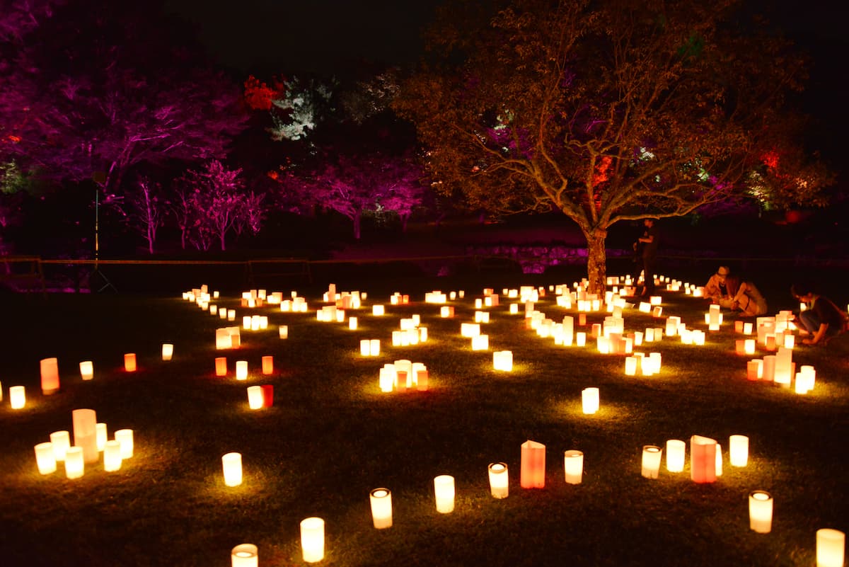 奈良春日野国際フォーラム甍