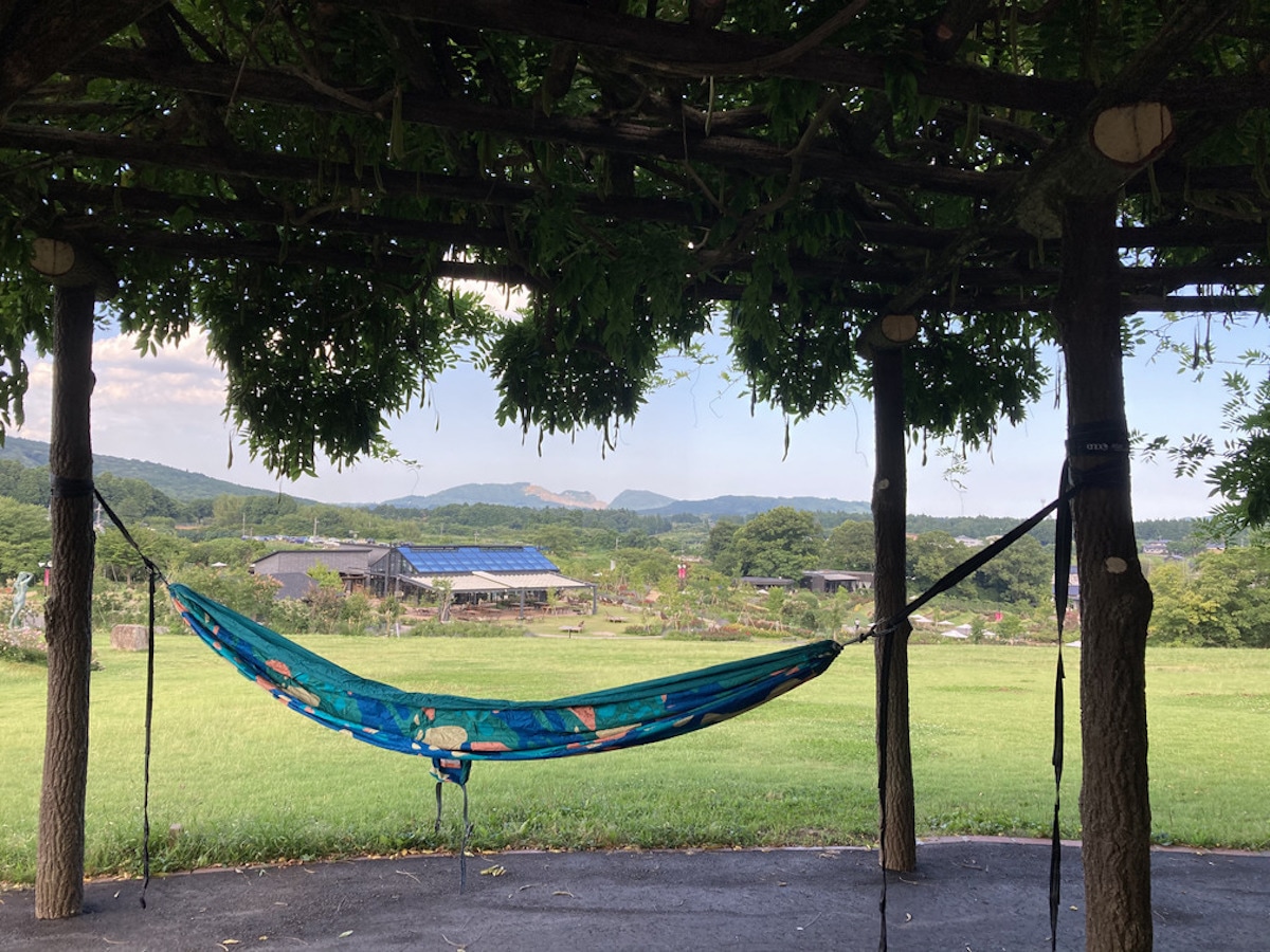 【毎日開催】アクティビティ(インフォメーション受付)