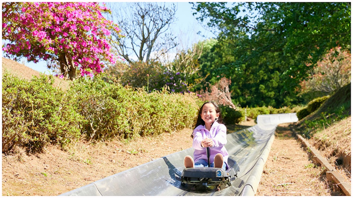 スポーツスライド