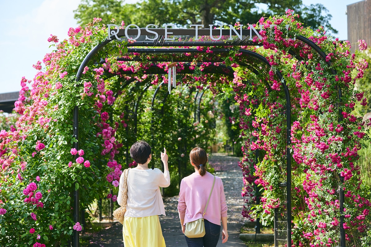 ローズトンネル