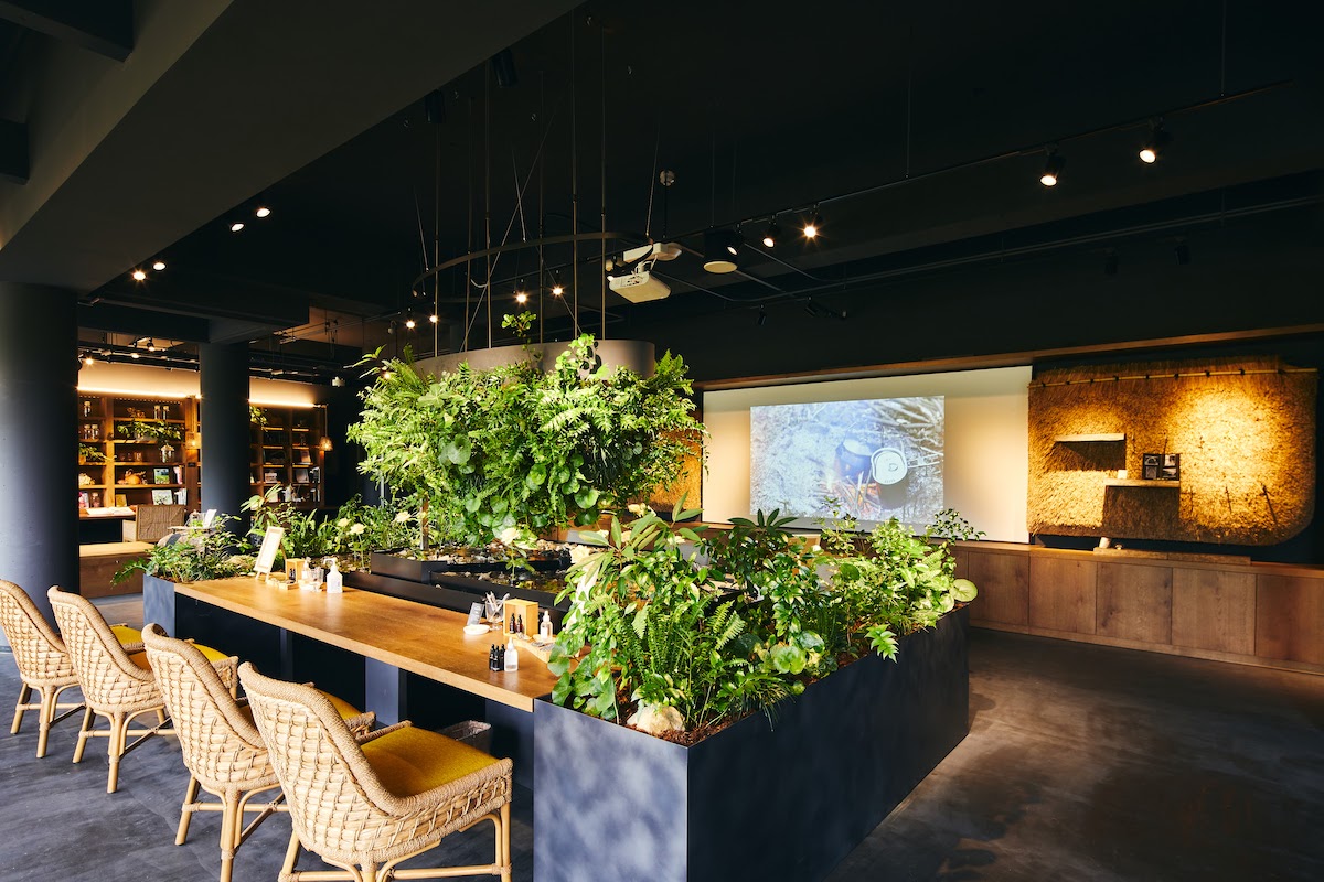 インフォメーション