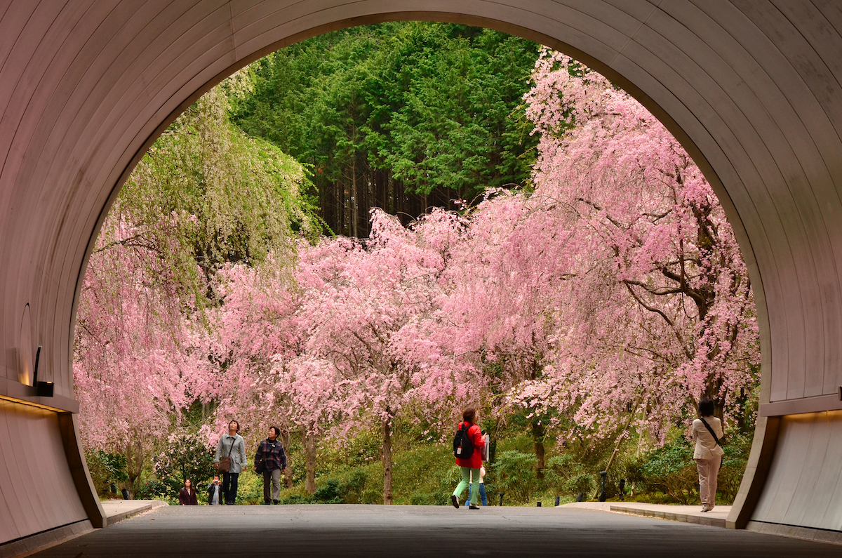 MIHO MUSEUM