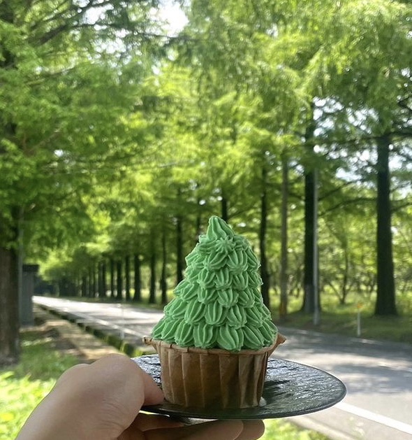 Hayama Coffee Metasequoia Garden's image 4