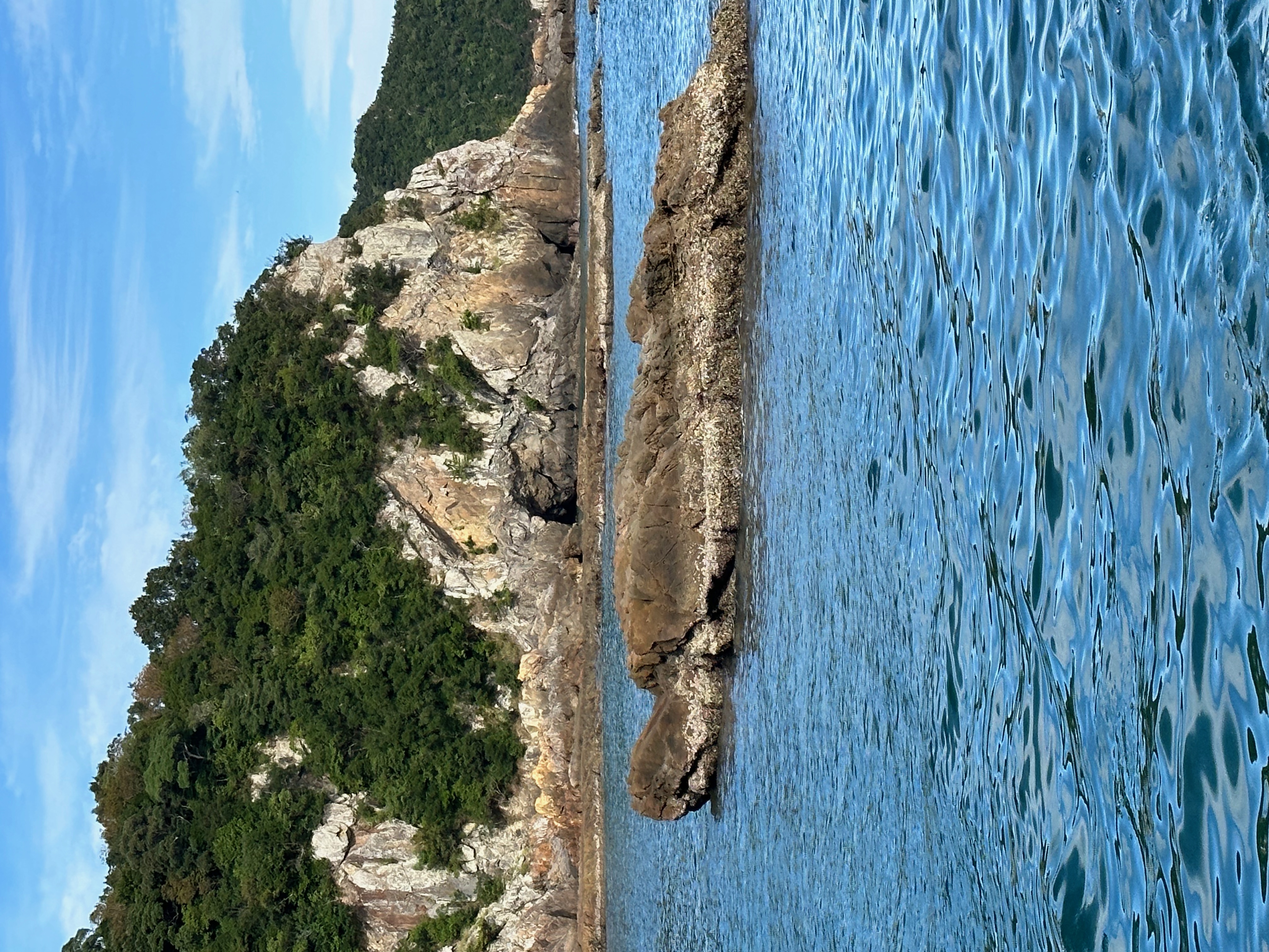 カメ島's image 1
