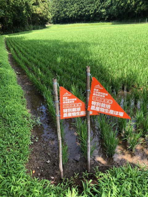 環境保全米フラッグ / 환경보전쌀을 증명하는 깃발"