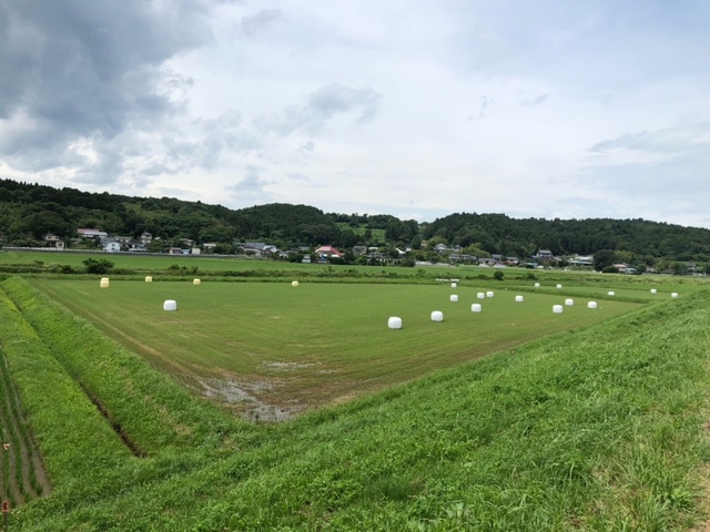 稲わらロールと循環農業 / 볏짚 순환 농업