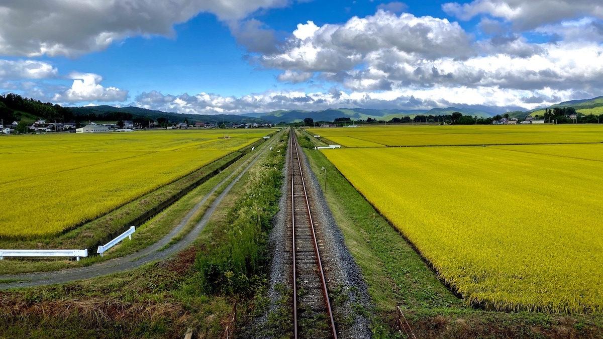 まっすぐな線路 / 곧게 뻗은 선로를 내려다 볼 수 있는 곳