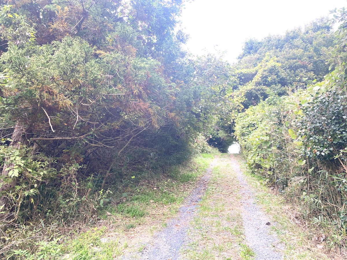 お寺を抜ける獣道 / 절 안을 지나가는 산길