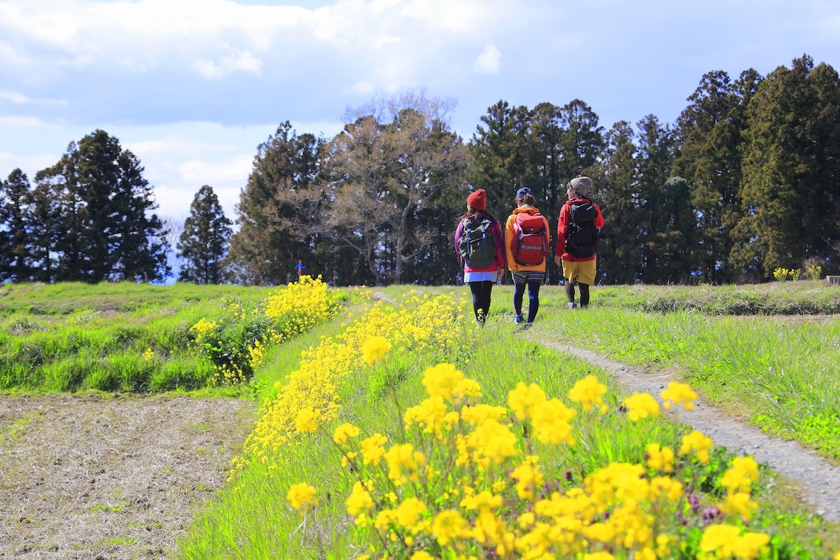 風が吹き抜ける農地 / 바람이 불어오는 농지