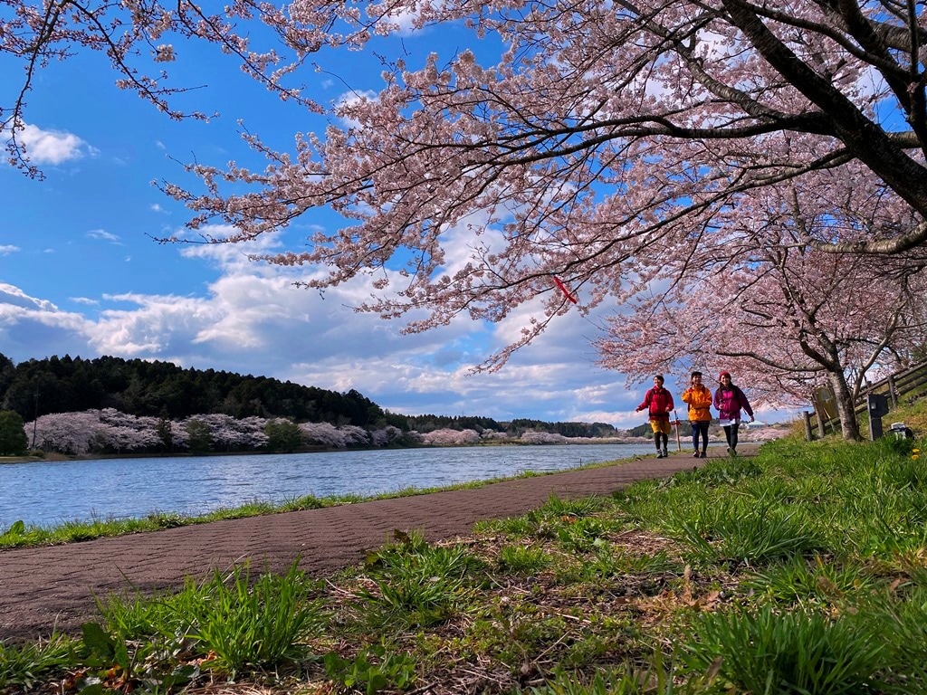 平筒沼沿いの歩道 / 뵤도누마 늪가의 산책길