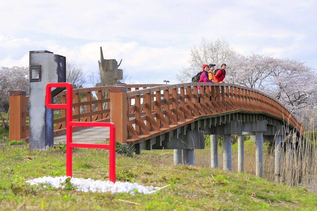 沼淵のカンセ /늪가의 간세