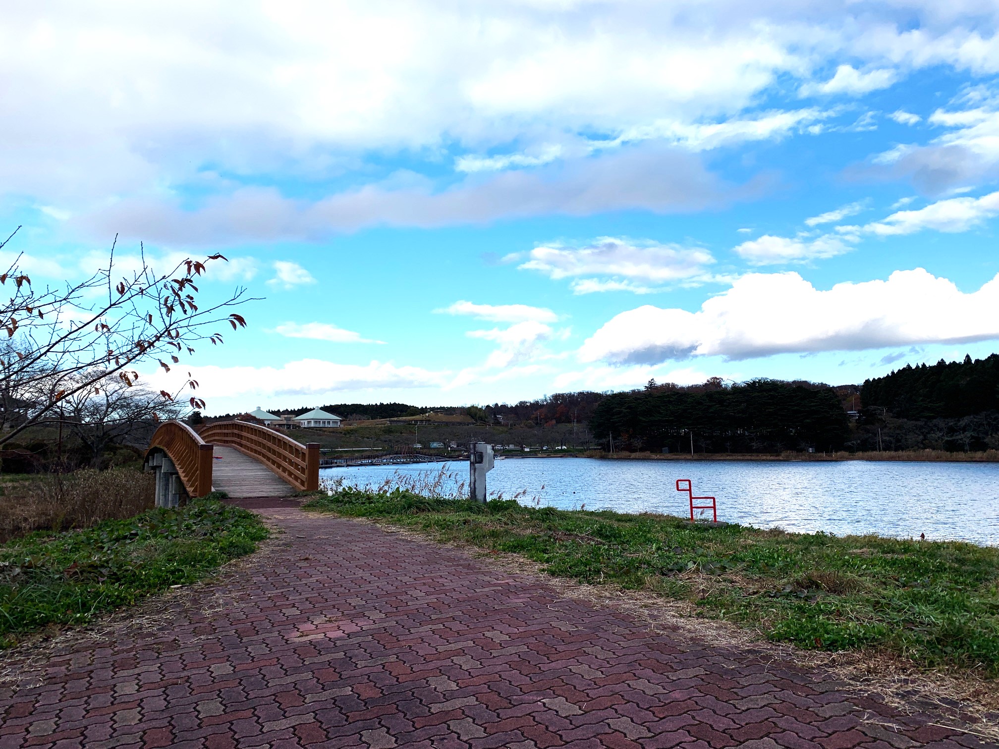 木製の渡橋 /  나무로 만든 다리