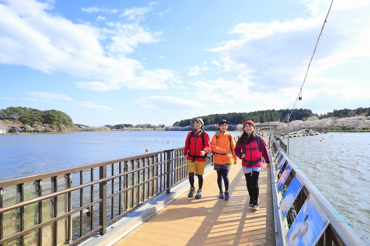 全長188mの浮桟橋 / 길이 188m의 뜬다리