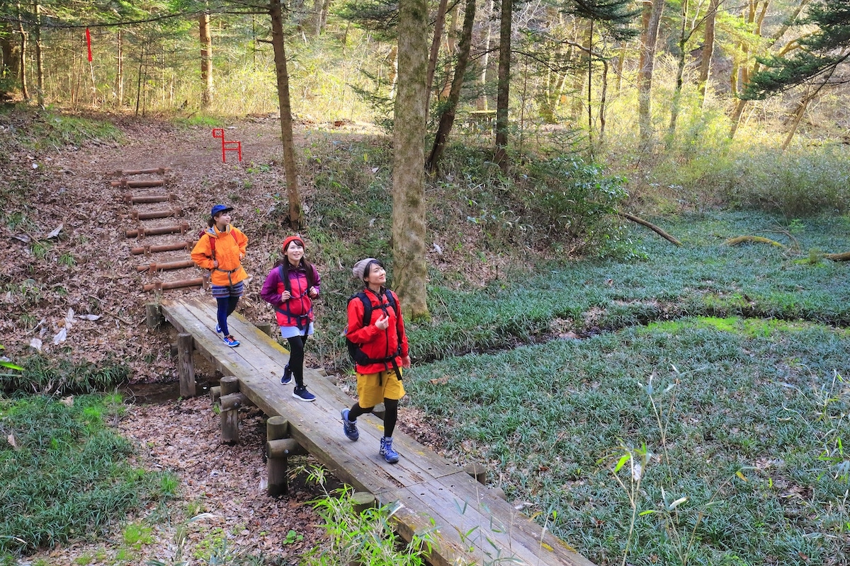 いこいの森 /이코이노모리 숲