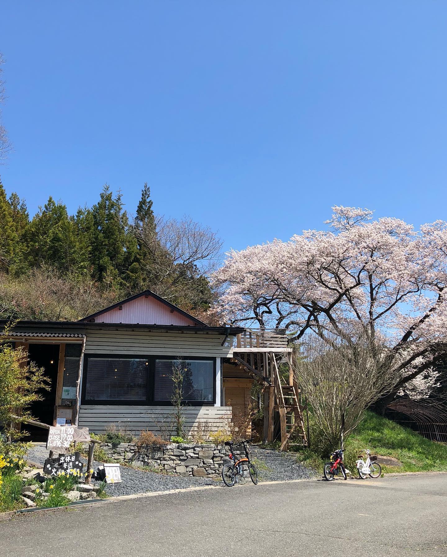 one world / 원 월드