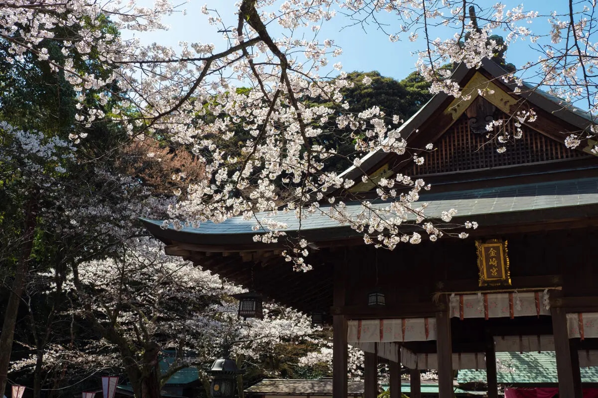 Kanegasakigu Shrine's image 1
