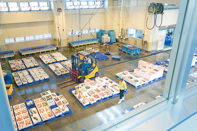 Tsuruga Fish Wholesale Market's image 2