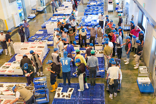 Tsuruga Fish Wholesale Market's image 3