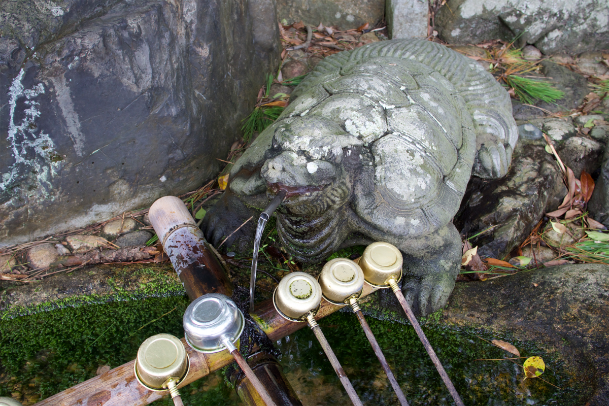 Kehi Jingu Shrine's image 5