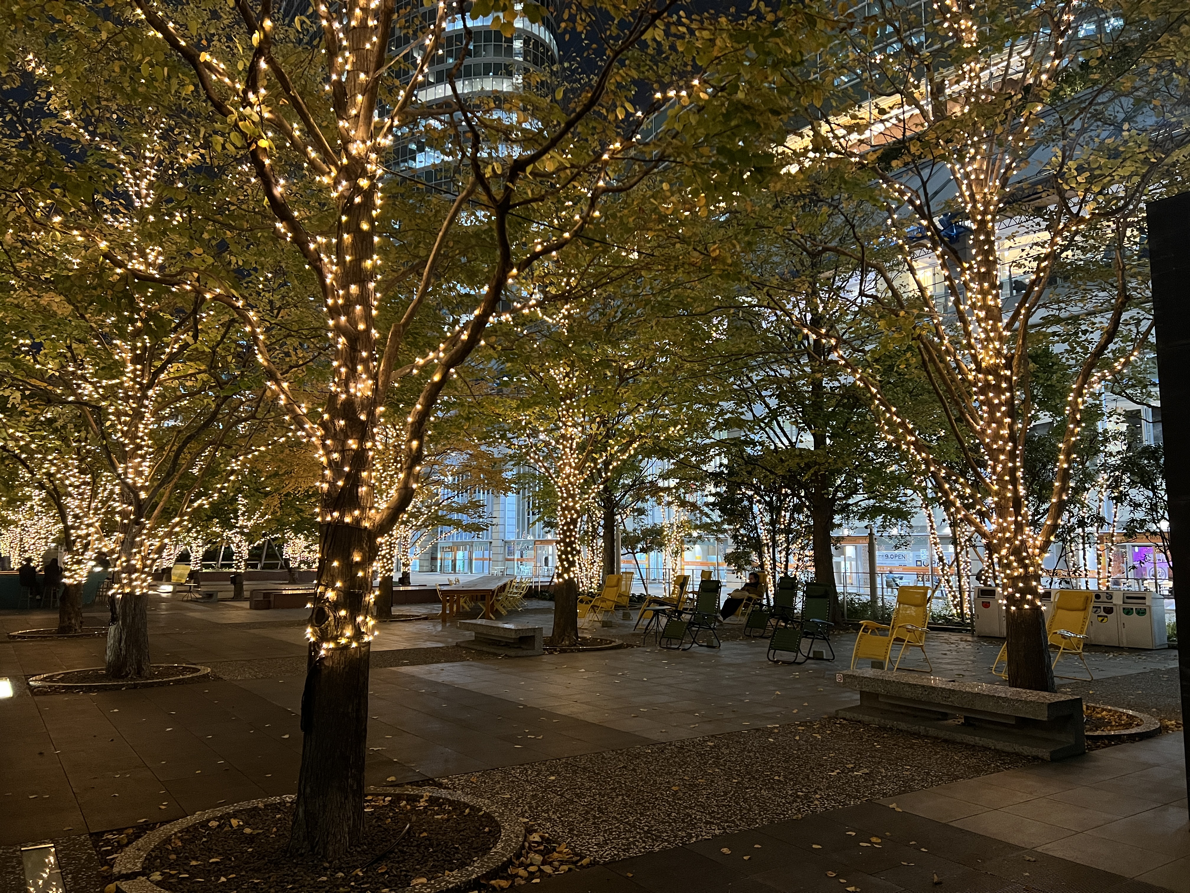 セントラルガーデン中央