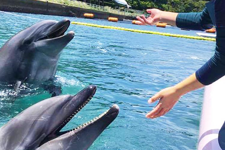 壱岐イルカパーク＆リゾート