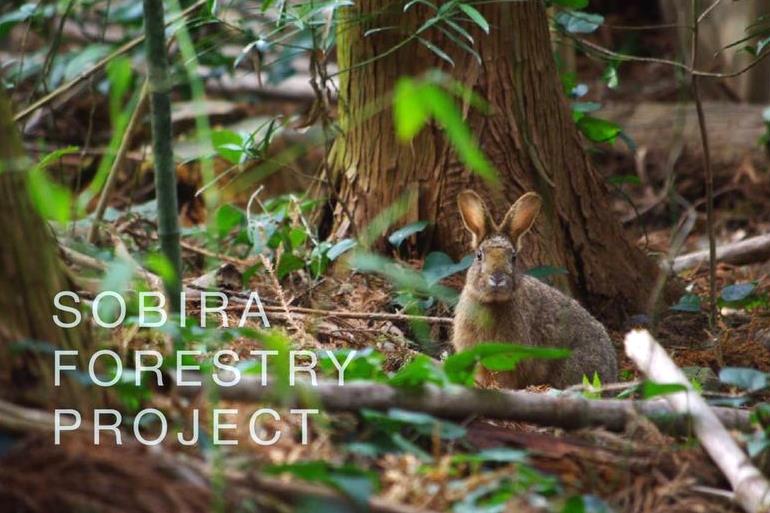 紙漉の里ふれあい施設