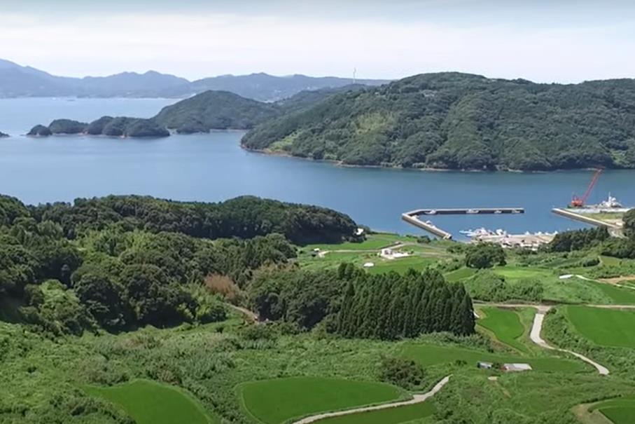 株式会社ミライステラス