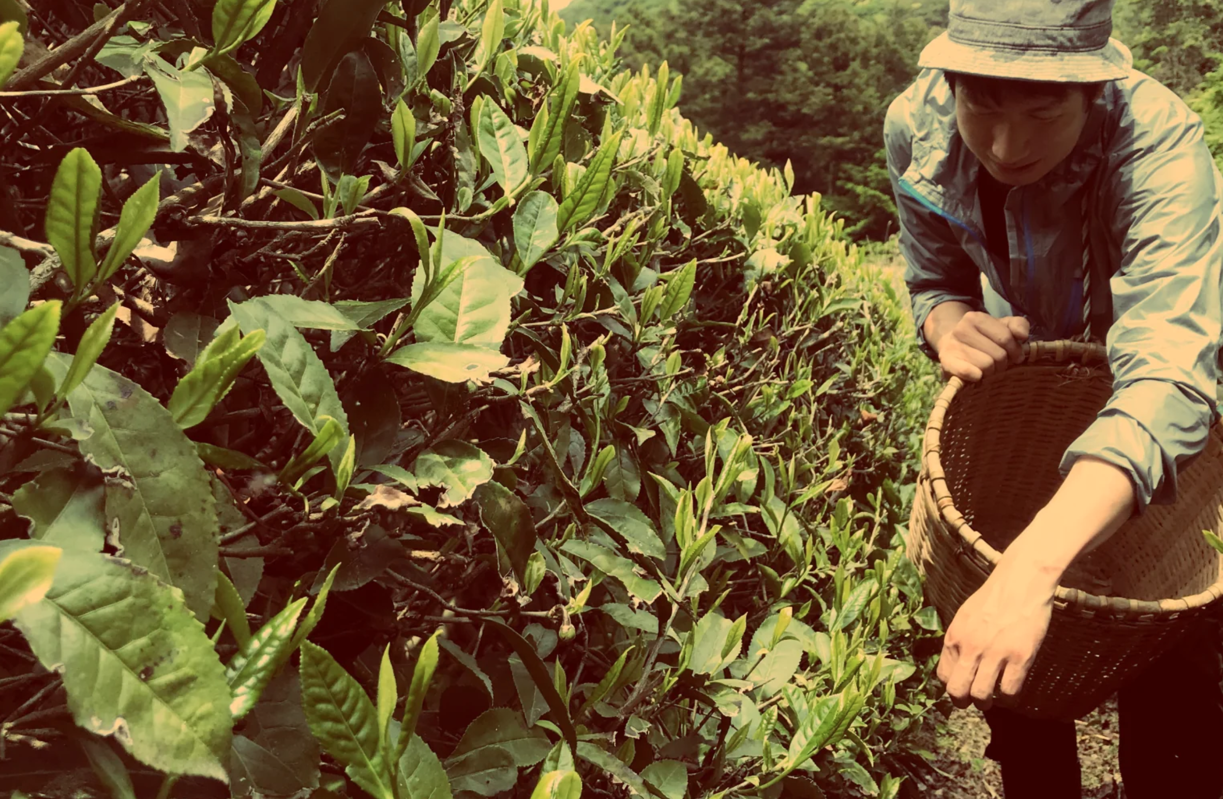 つしま大石農園