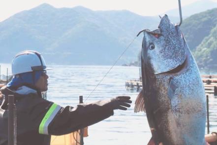 株式会社ツナドリーム五島