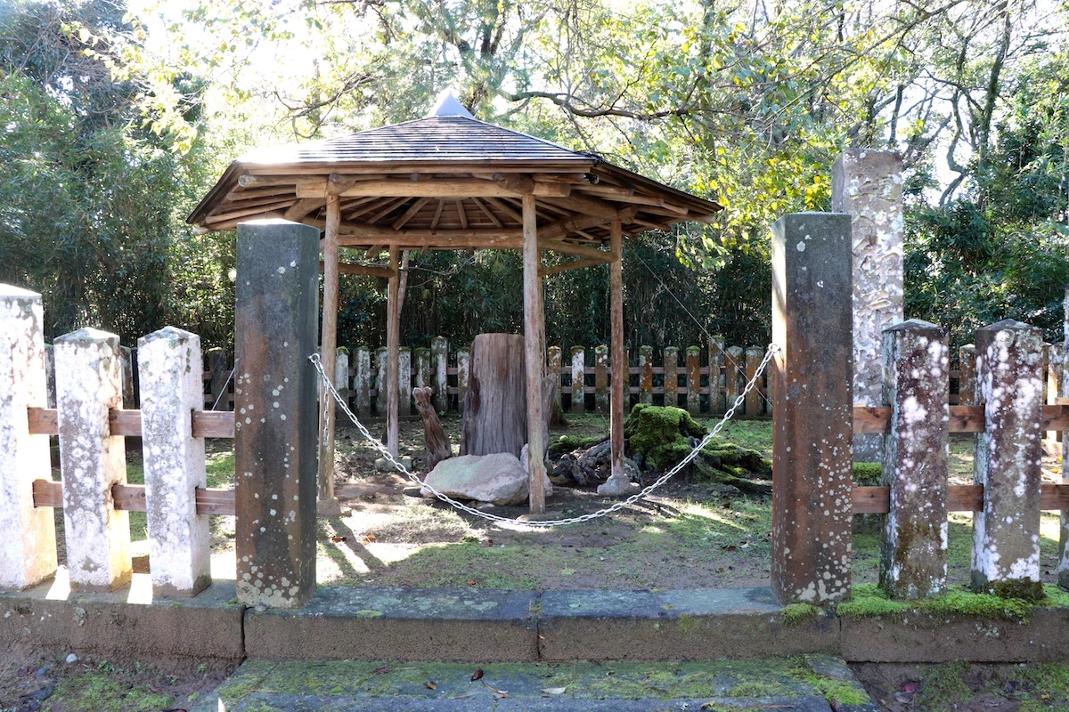 お手植えのお花松