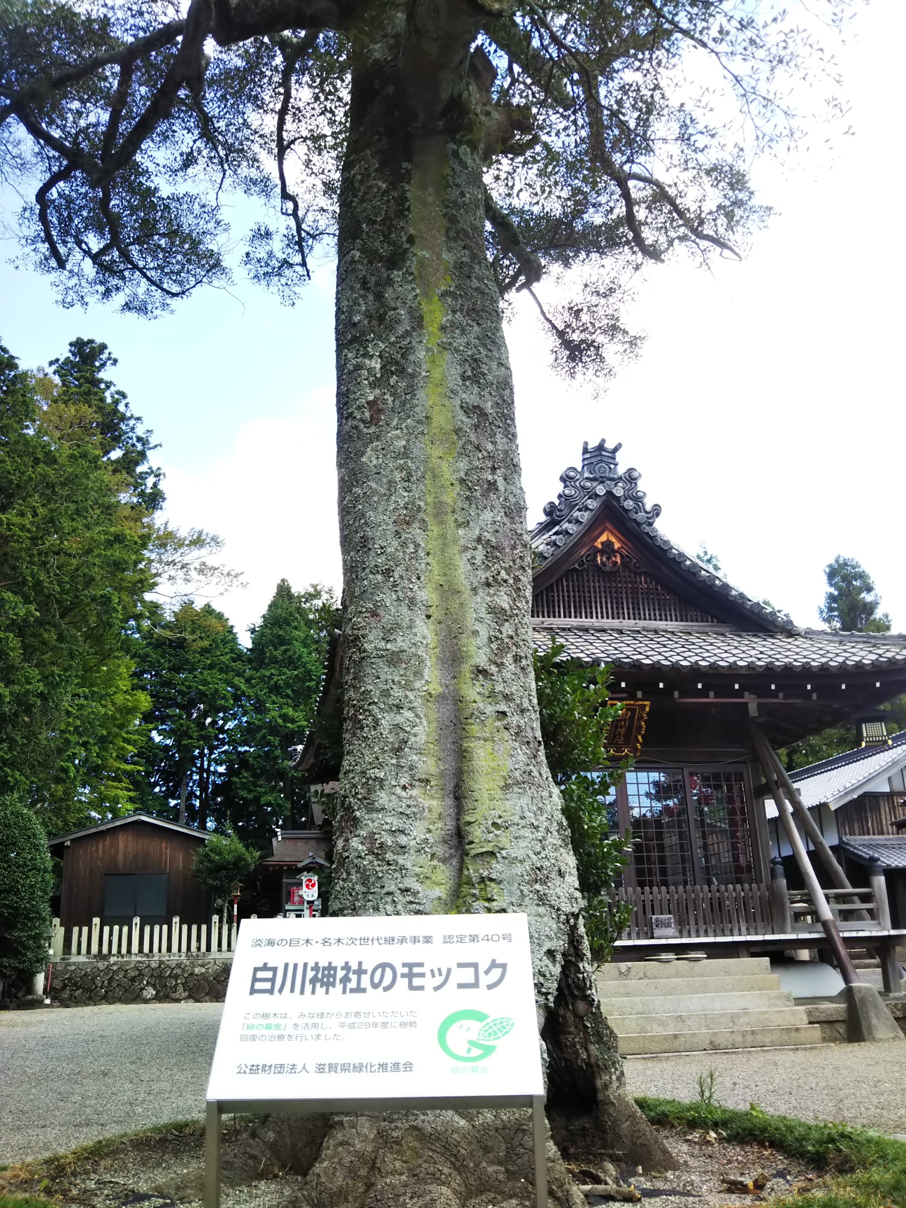 白川神社