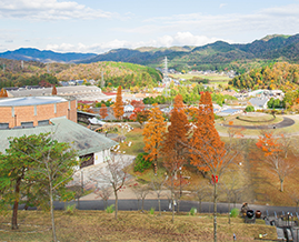 滋賀県立陶芸の森