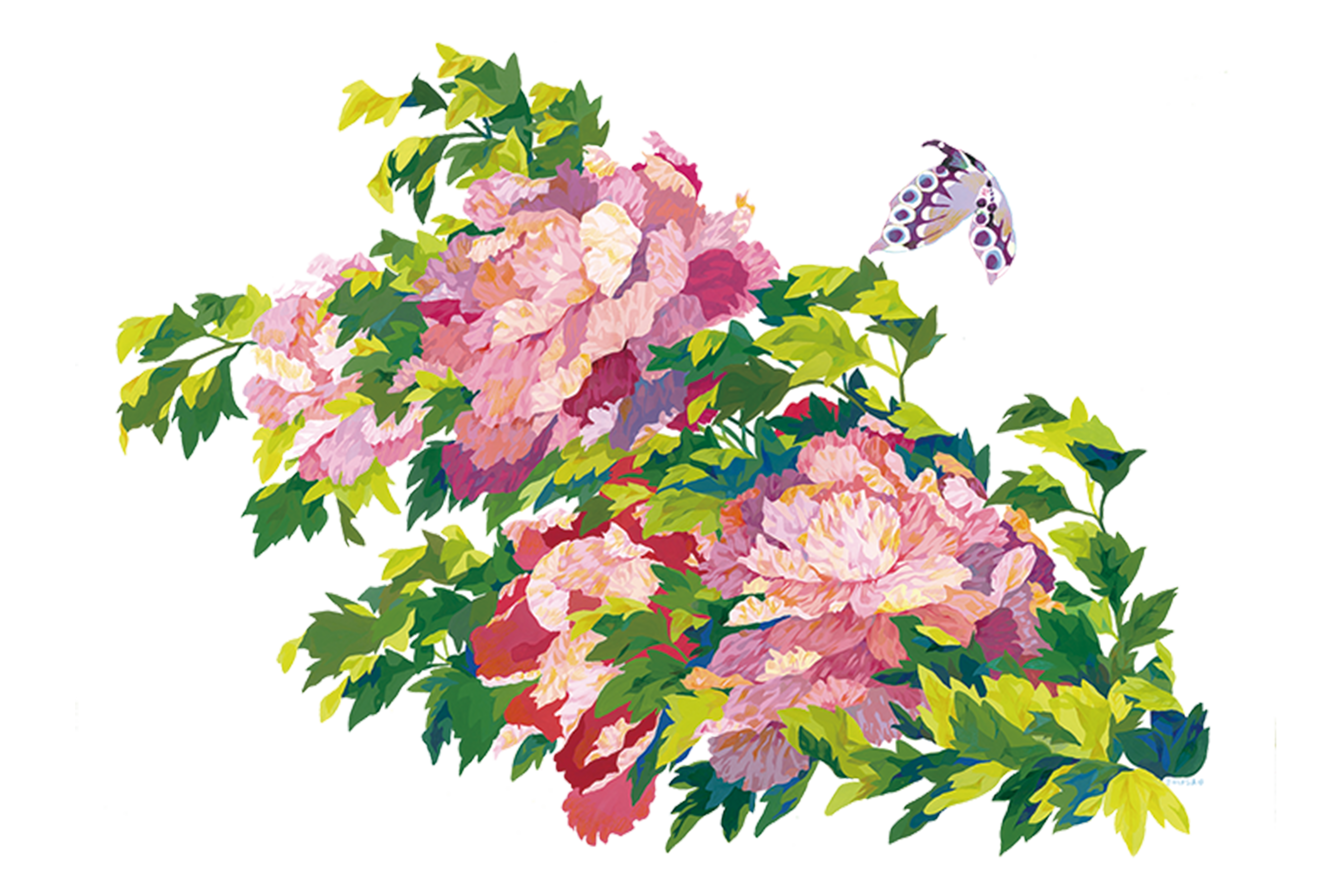 ひかりを浴びて