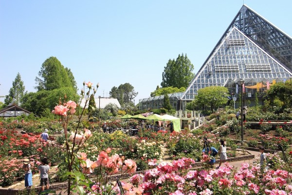 Osaka Garden of Floral Culture