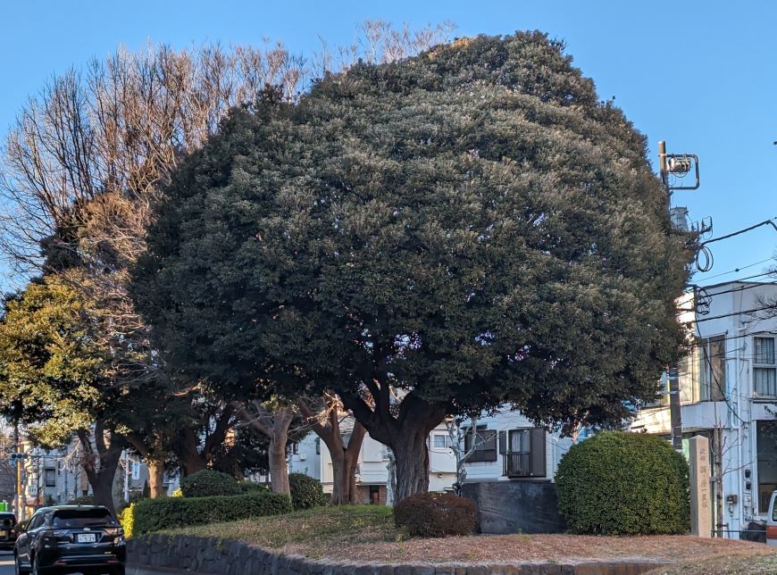 国史跡西ケ原一里塚