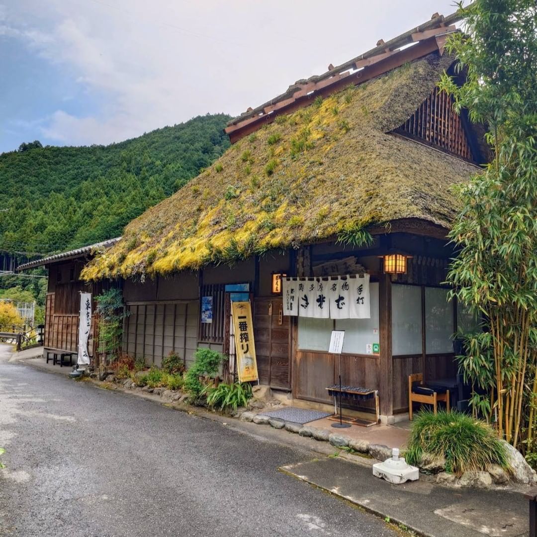 Tamagawaya main store's image 3