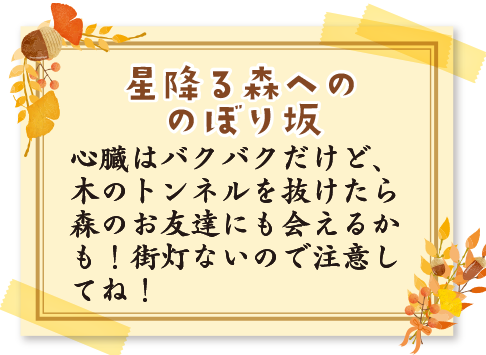 星降る森への のぼり坂