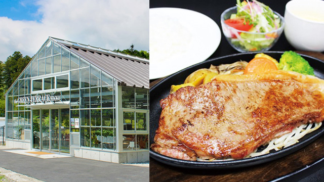 ザ・グリーンテラス