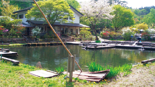 Mt Ogura Fishing Pond's image 1