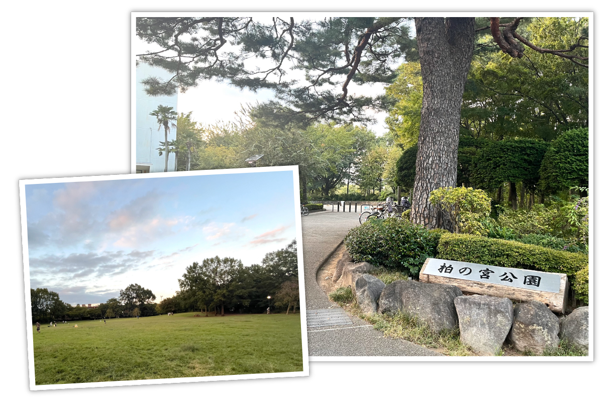 柏の宮公園