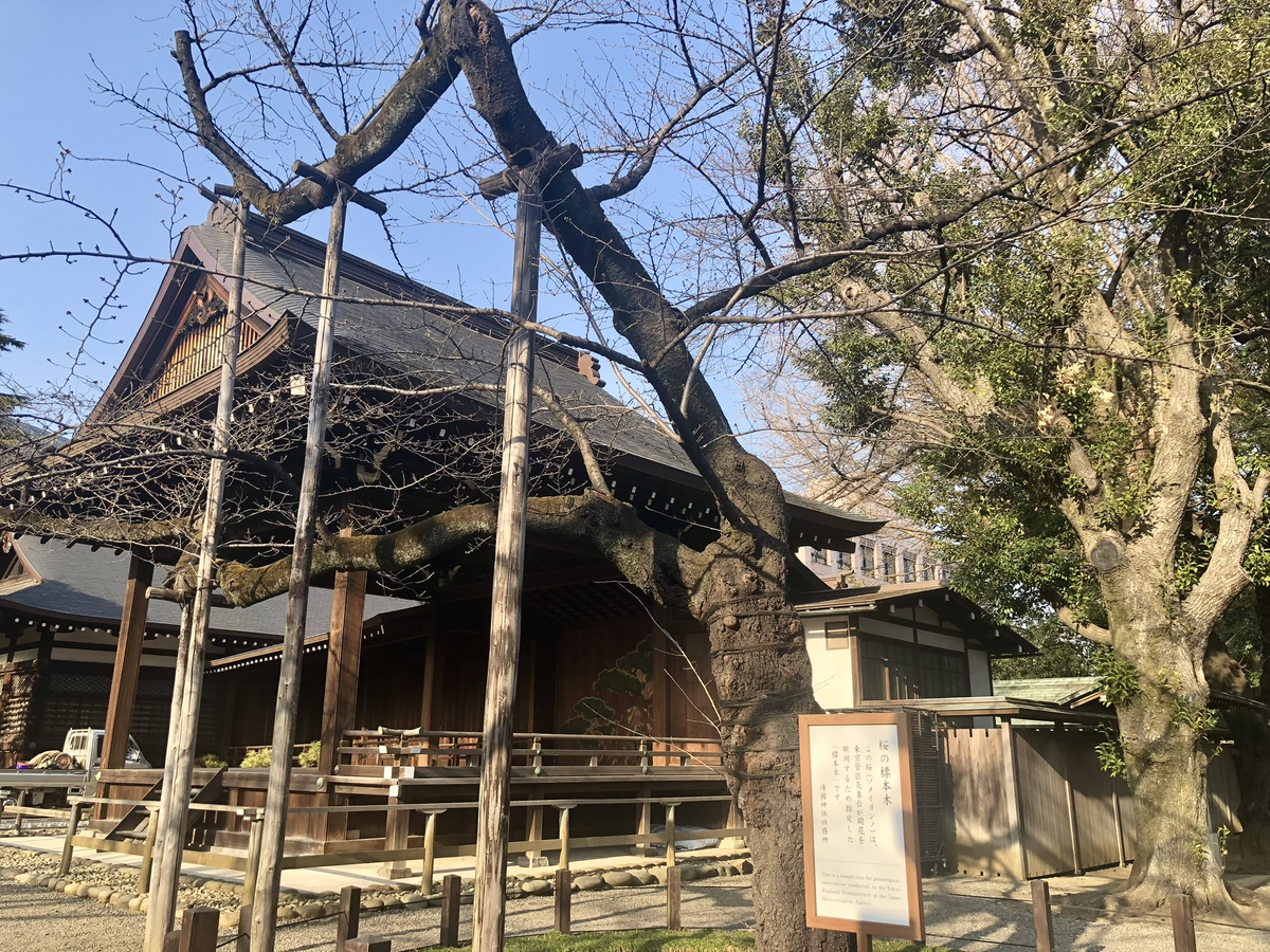 靖国神社　標本木