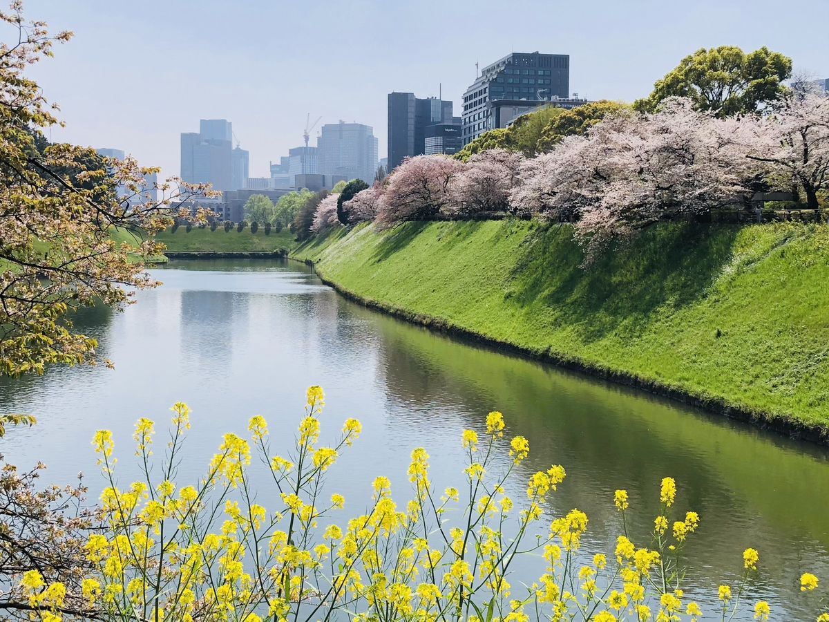 代官町通り/千鳥ヶ淵交差点