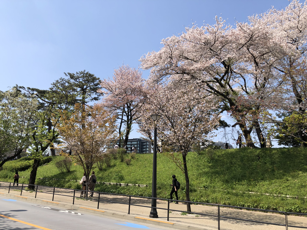 代官町通り土手（千鳥ヶ淵側）