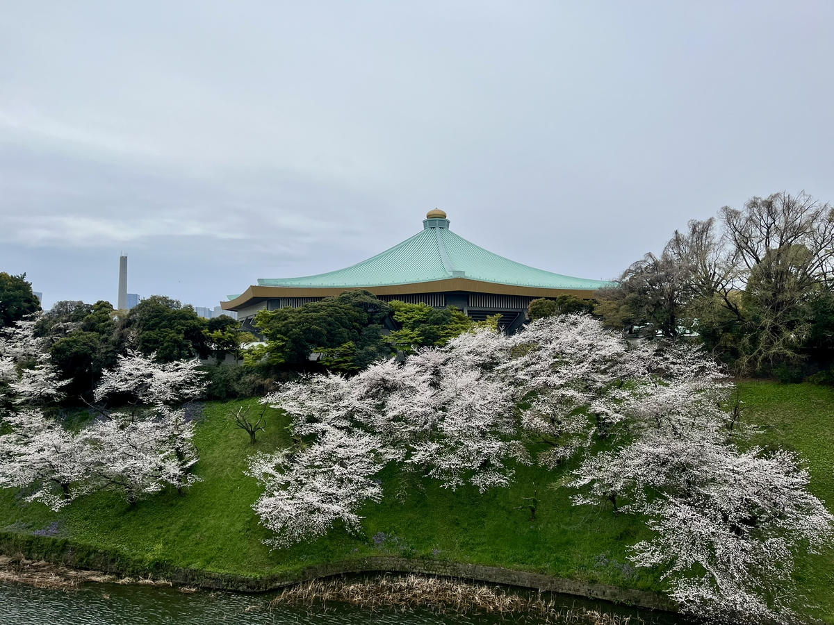 九段会館テラス／5階屋上テラス
