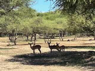 Gaborone Game Reserve