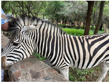 MOKOLODI GAME RESERVE