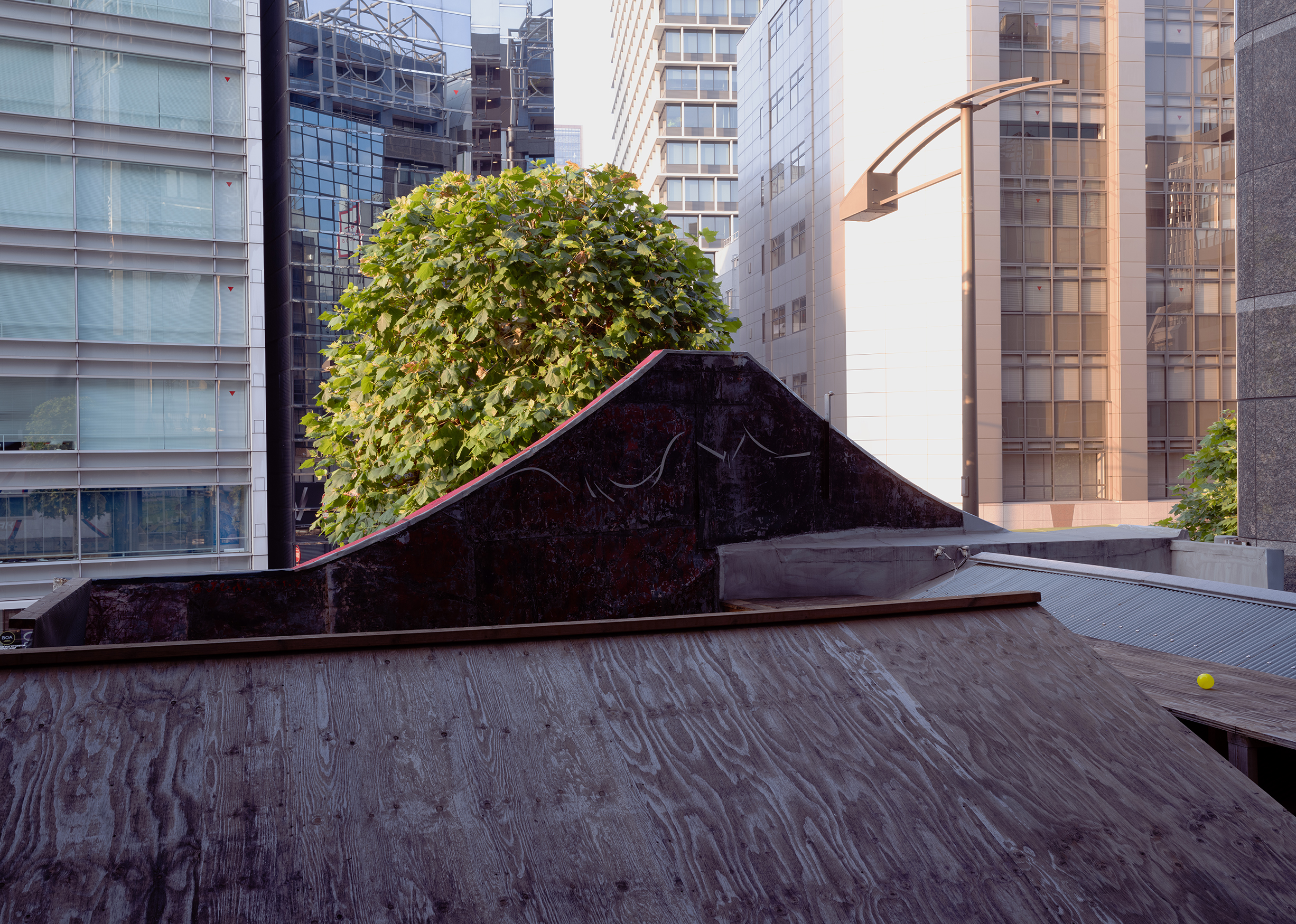 《TOKYO PERSPECTIVE》中村政人（撮影場所）