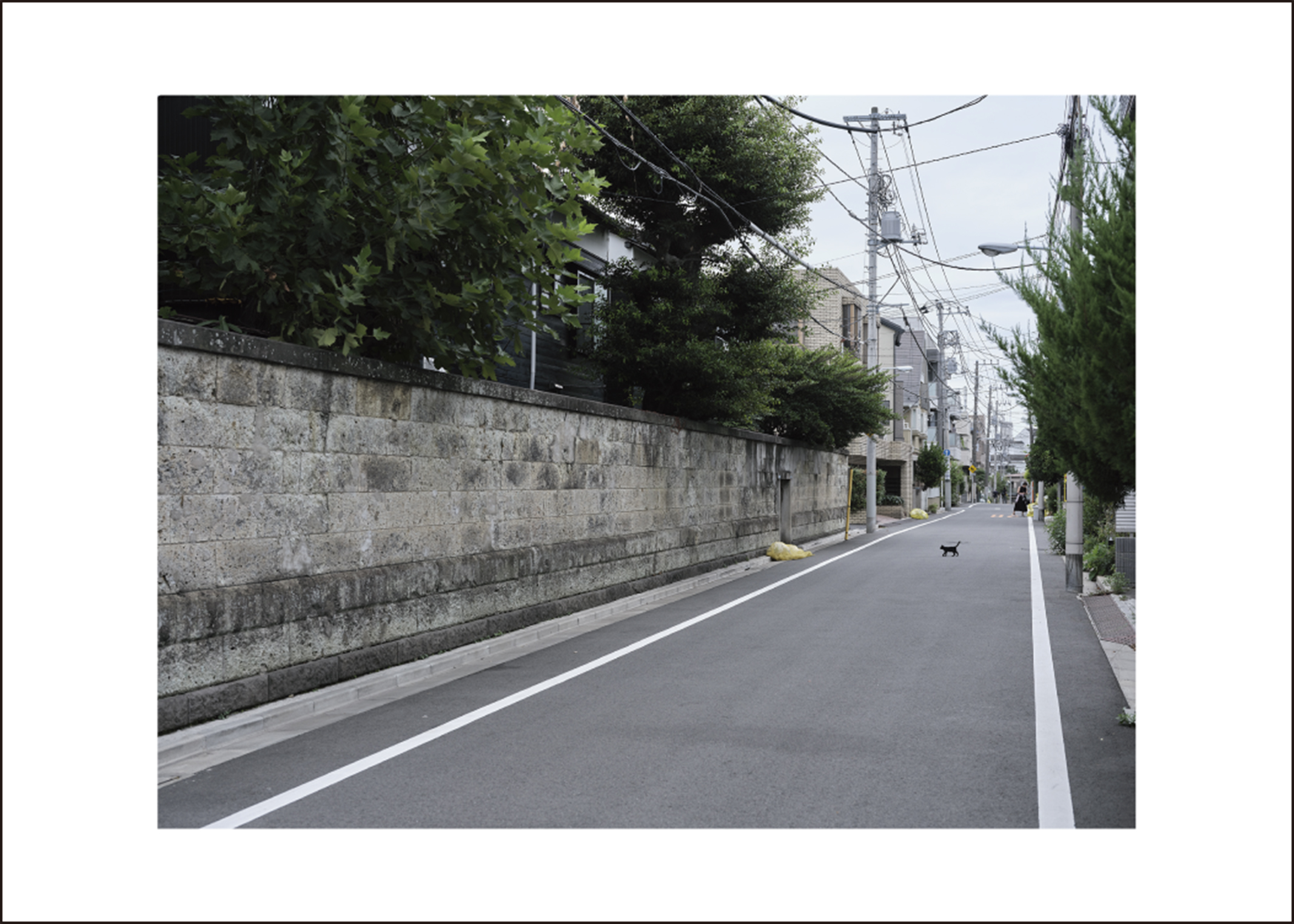 《TOKYO PERSPECTIVE》Risaku Suzuki（Photography location）