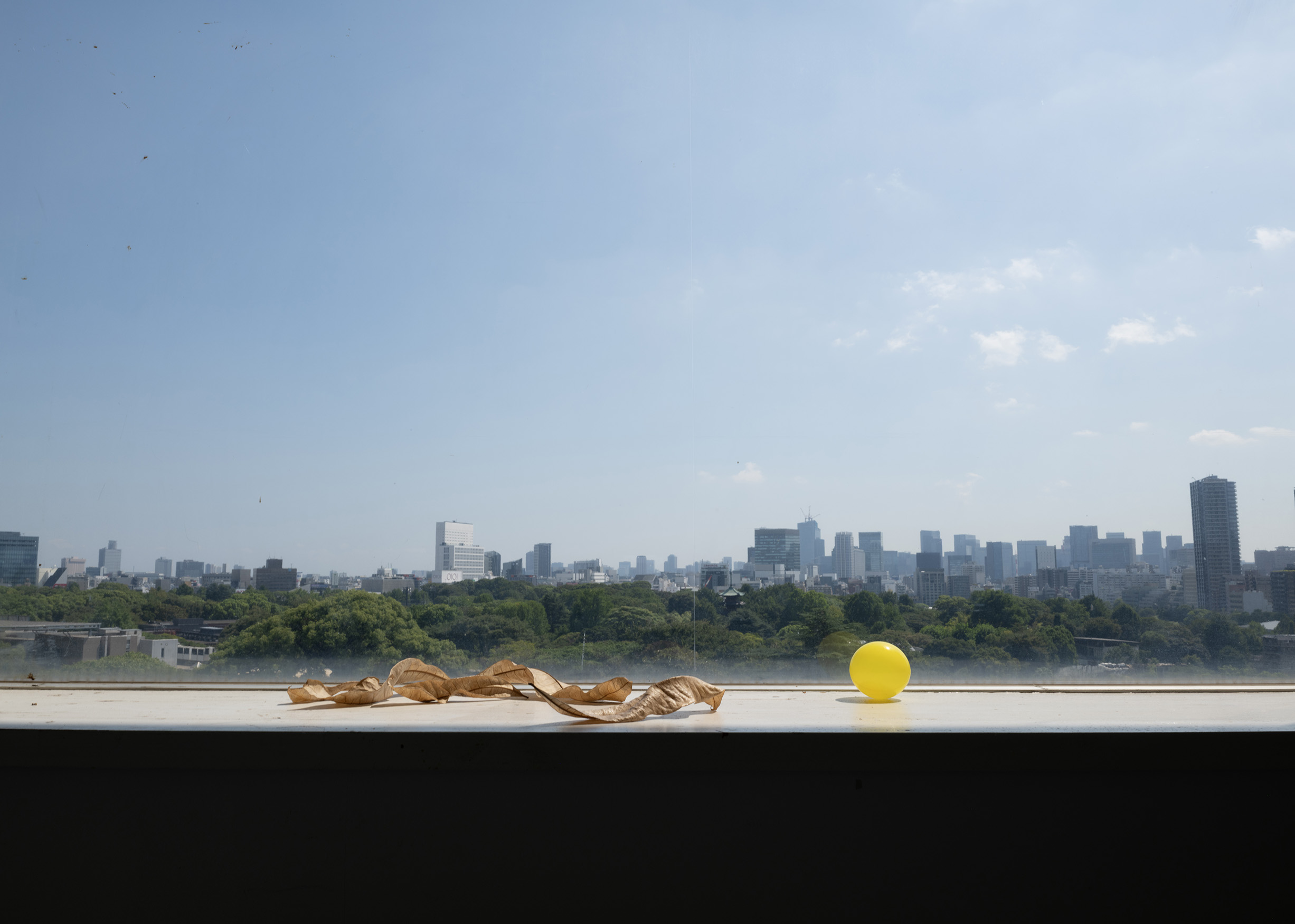 《TOKYO PERSPECTIVE》Masato Nakamura（Photography location）