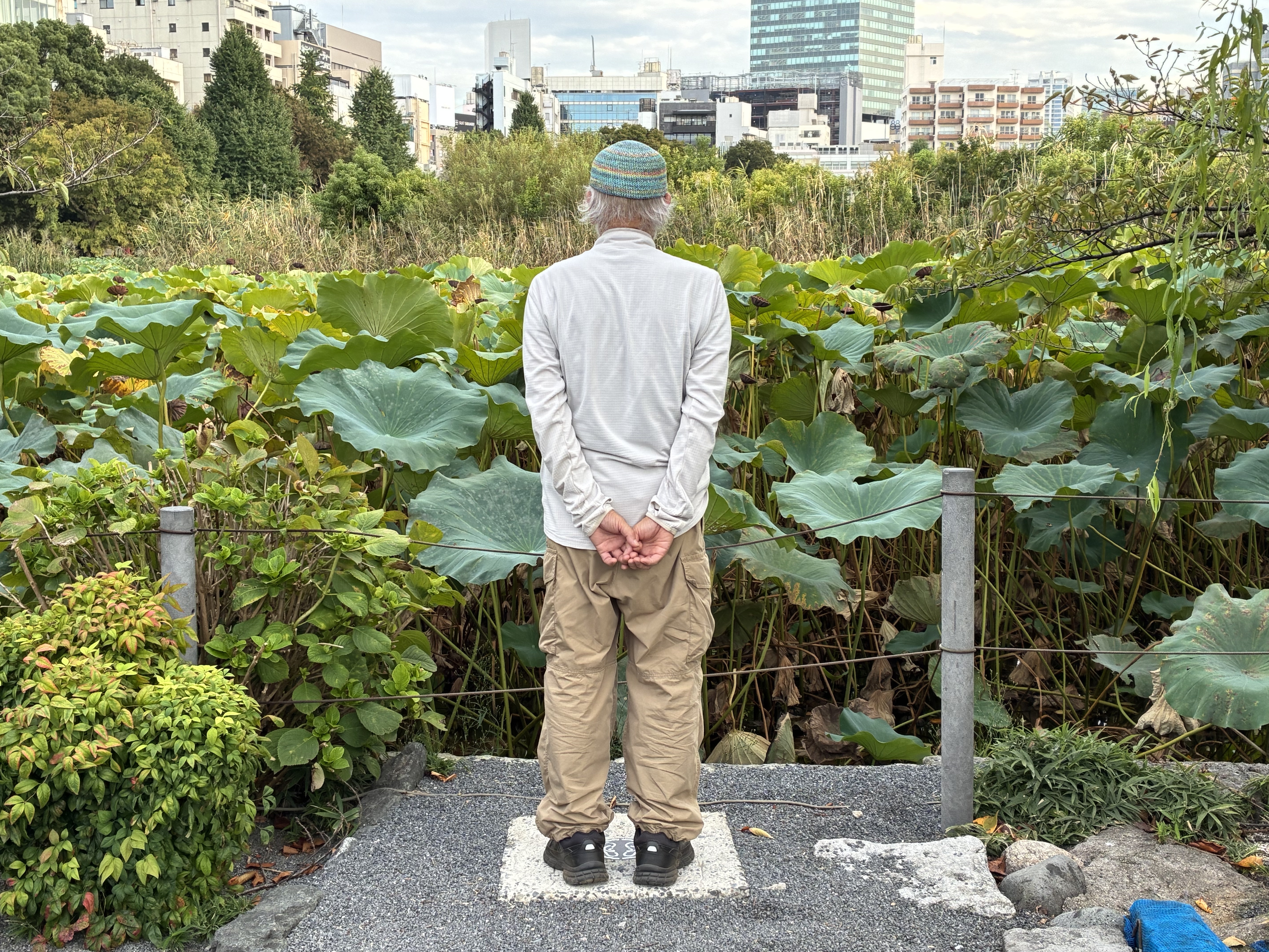 Tōeizan Kan’ei-ji, Shinobazu Pond Bentendō